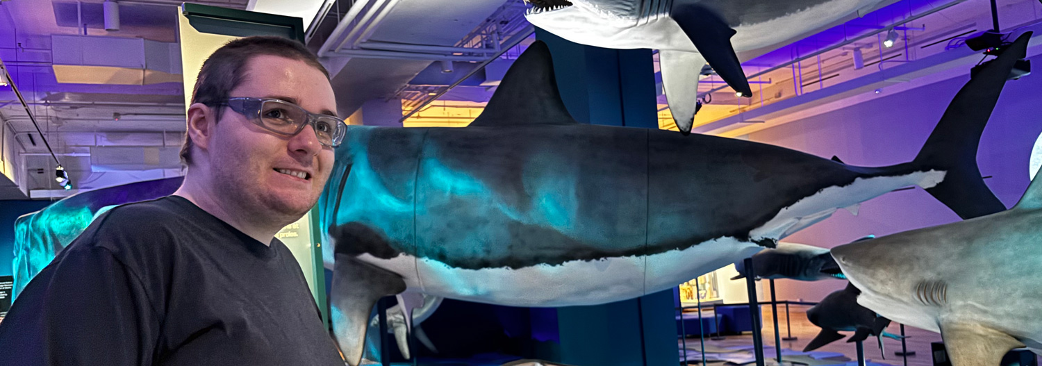 Man standing in front of orca and shark display